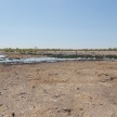 Etosha Safari Park in Namibia