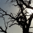 Etosha Safari Park in Namibia