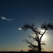 Etosha Safari Park in Namibia