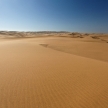 Desert in Namibia, Africa