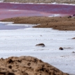 Salt Works in Namibia