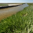 Ramsar Area - Walvis Bay