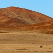 Oryx in Sossusvlei, Namibia