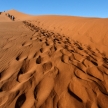 Sand Dune No. 45 at Sossusvlei, Namibia