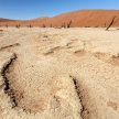 Dead Vlei - Sossusvlei, Namibia