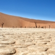 Dead Vlei - Sossusvlei, Namibia