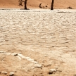 Dead Vlei - Sossusvlei, Namibia