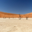 Dead Vlei - Sossusvlei, Namibia
