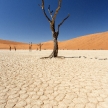 Dead Vlei - Sossusvlei, Namibia