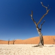 Dead Vlei - Sossusvlei, Namibia