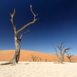 Dead Vlei - Sossusvlei, Namibia