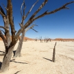 Dead Vlei - Sossusvlei, Namibia