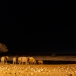 Etosha Safari Park in Namibia
