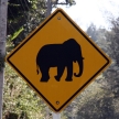 Elephant Sign - Phuket, Thailand