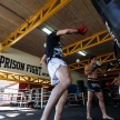 THAILAND - FEBUARY 11 2014: International fighters take part in