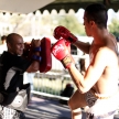 THAILAND - FEBUARY 11 2014: International fighters take part in