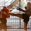 THAILAND - FEBUARY 11 2014: International fighters take part in