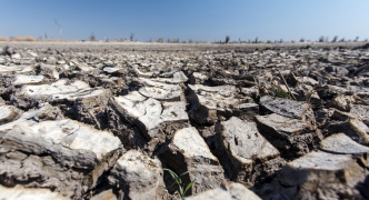 Okavango Delta - Moremi N.P.