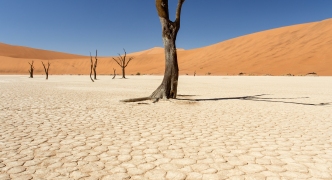Dead Vlei - Sossusvlei, Namibia