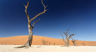 Dead Vlei - Sossusvlei, Namibia