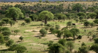 Landscap in Africa, Tanzania, Africa