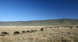Ngorongoro Crater, Tanzania, Africa