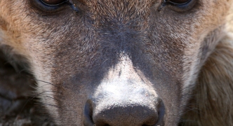 Ngorongoro Crater, Tanzania, Africa