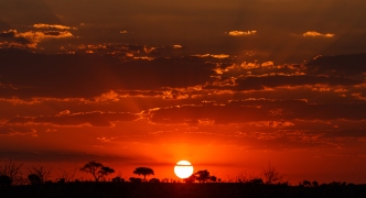 Sunset - Chobe N.P. Botswana, Africa