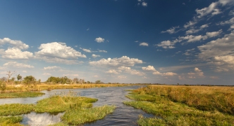 Okavango Delta, Africa