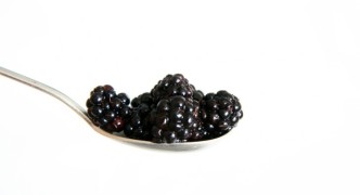 Fresh Ripe Blackberry - Healthy Eating