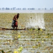 Traditional Fishing Technique - Uganda, Africa