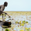 Floating Fishing Village - Uganda, Africa