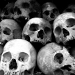 28-KillingFieldVictims-11x17-L