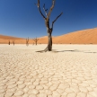 Dead Vlei - Sossusvlei, Namibia
