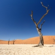 Dead Vlei - Sossusvlei, Namibia