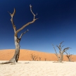 Dead Vlei - Sossusvlei, Namibia