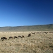 Ngorongoro Crater, Tanzania, Africa