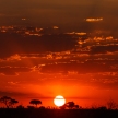 Sunset - Chobe N.P. Botswana, Africa
