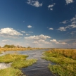 Okavango Delta, Africa