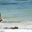 Matemwe Beach, Zanzibar