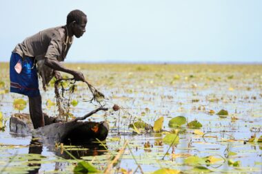 Floating Fishing Village - Uganda - The Pearl of Africa