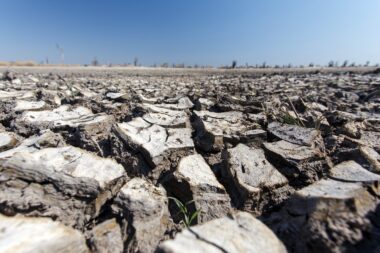 Okavango Delta - Moremi National Park in Botswana