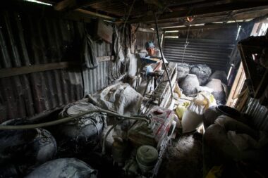 FALAM, MYANMAR - JUNE 17 2015: Making pig feed using a grinding machine in the town of Falam in Chin State, Myanmar.