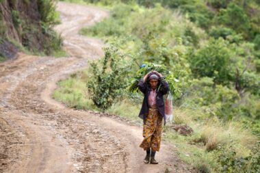 CHIN STATE, MYANMAR - JUNE 22 2015: Lady carries heavy load in the recently opened for tourists Chin State Mountainous Region, Myanmar (Burma)