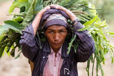 CHIN STATE, MYANMAR - JUNE 22 2015: Lady carries heavy load in the recently opened for tourists Chin State Mountainous Region, Myanmar (Burma)