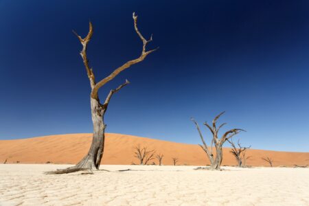 Dead Vlei - Sossusvlei in the Namib Desert, Namibia, Africa