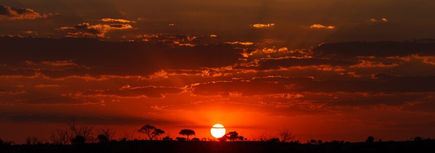Sunset Over The Chobe National Park, Botswana, Africa