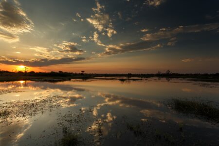 Okavango Delta (Moremi National Park) in Botswana Africa