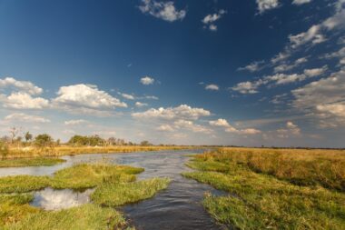 Okavango Delta (Moremi National Park) in Botswana Africa